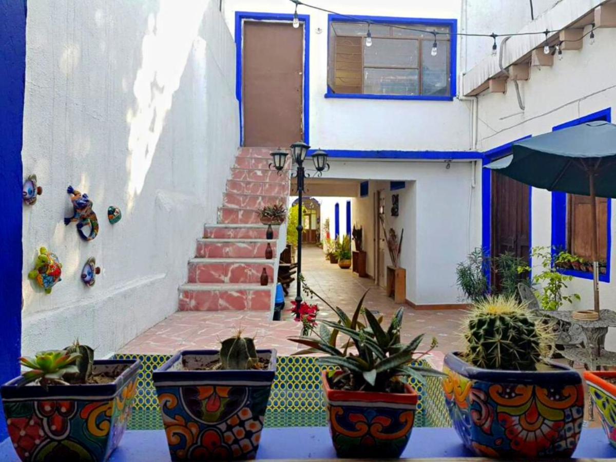 Ikali Hostel Monterrey Bagian luar foto